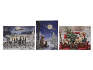 Canvas winter dieren 40miniLED timer 30x40cm ass